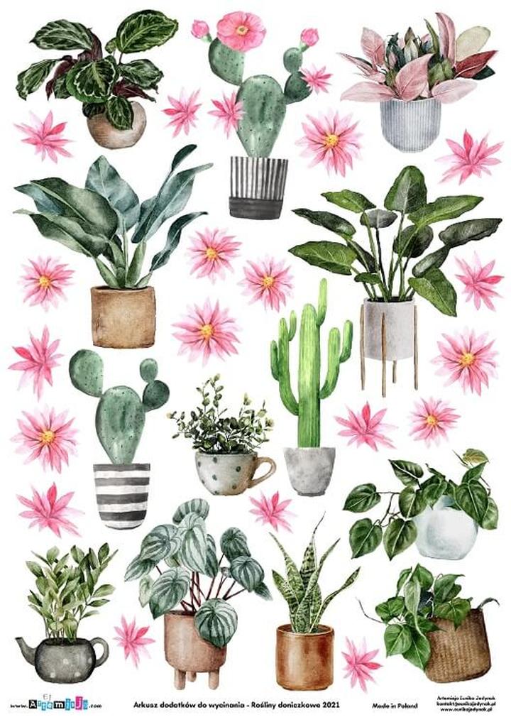 Pielęgnacja roślin na balkon