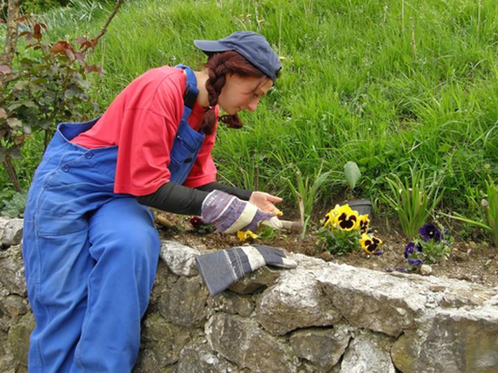 Zdrowie podczas prac ogrodowych