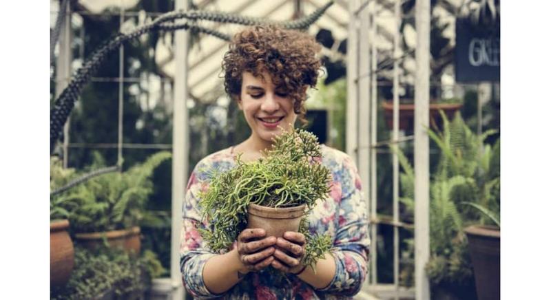 Nawożenie roślin w chłodne miesiące