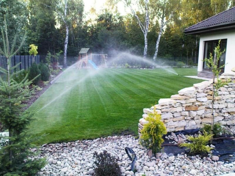 Rośliny wilgotność