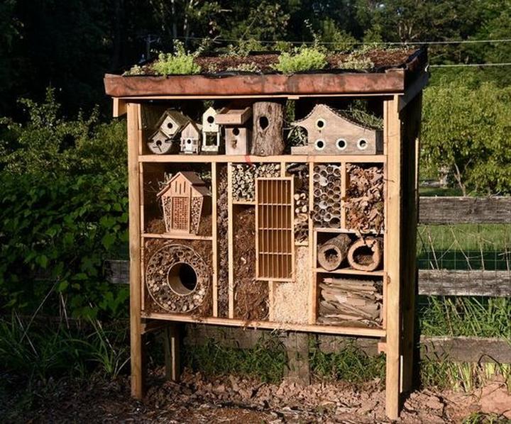 Siedlisko dla owadów