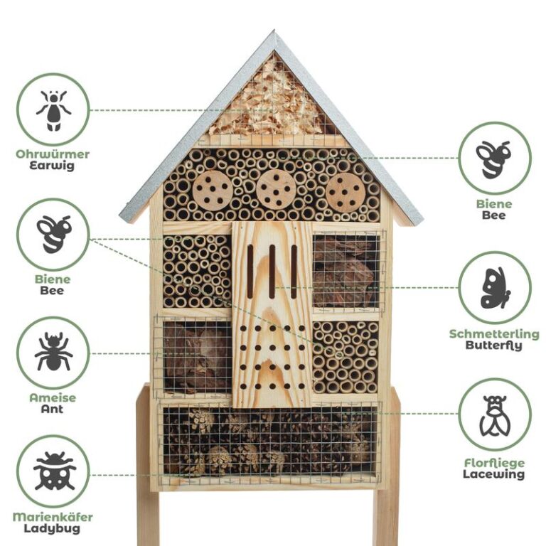 Stwórz przyjazne siedlisko dla owadów: jak zbudować domek dla pożytecznych insektów w swoim ogrodzie