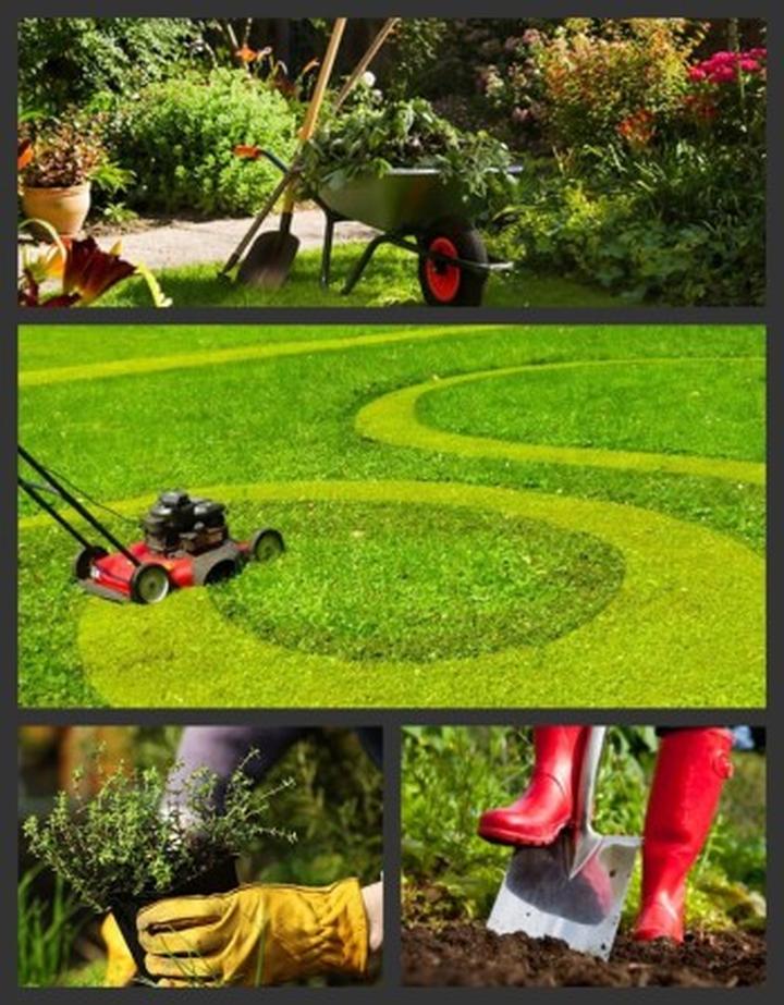 Sezonowa pielęgnacja roślin