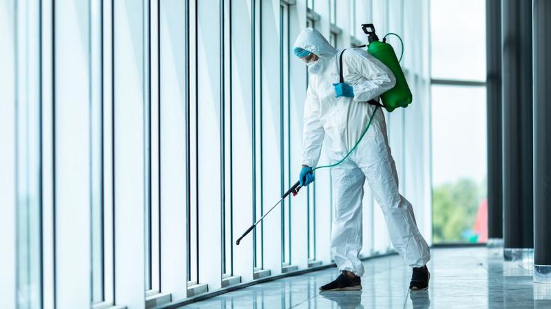 Firmy dezynfekcyjne i usługi