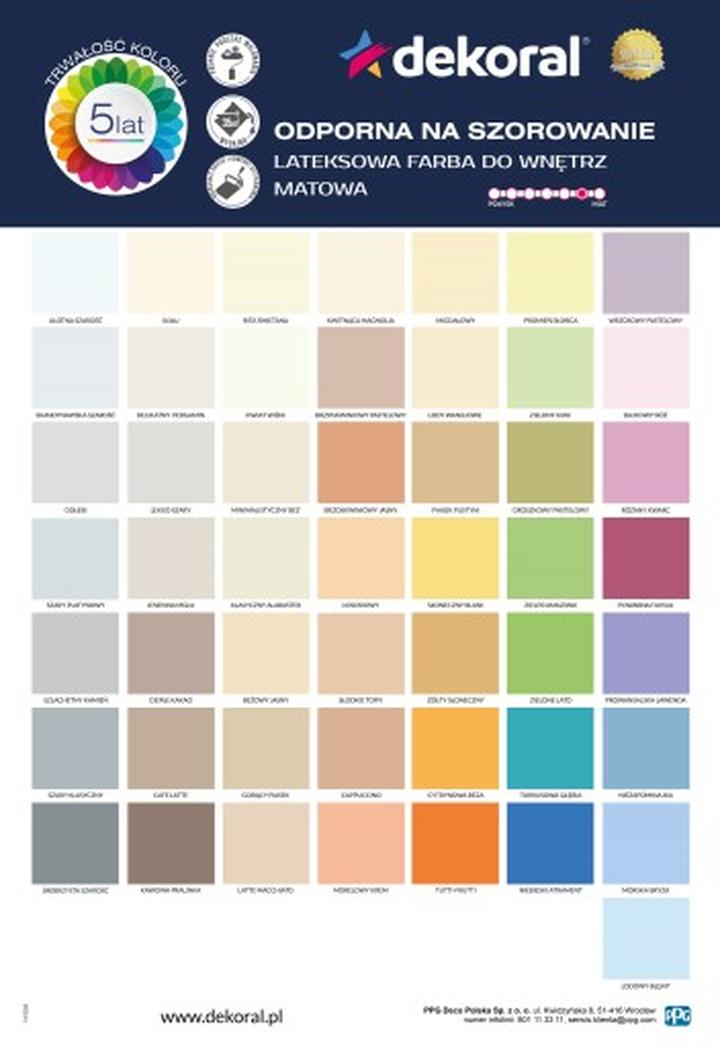 Opinie i rekomendacje farb