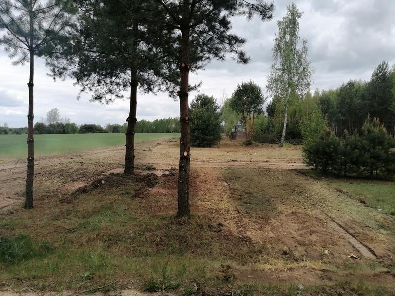 Przepisy prawne wycinka drzew