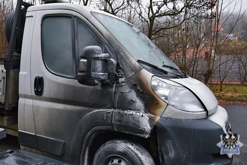 Przygotowanie drzew do sezonu wegetacyjnego