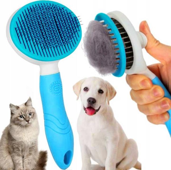 Innowacyjne akcesoria dla psa – podstawowe rozwiązania dla zdrowia i komfortu twojego pupila