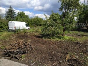 Przygotowanie do karczowania działki pod budowę domu – porady, które ułatwią Ci zadanie