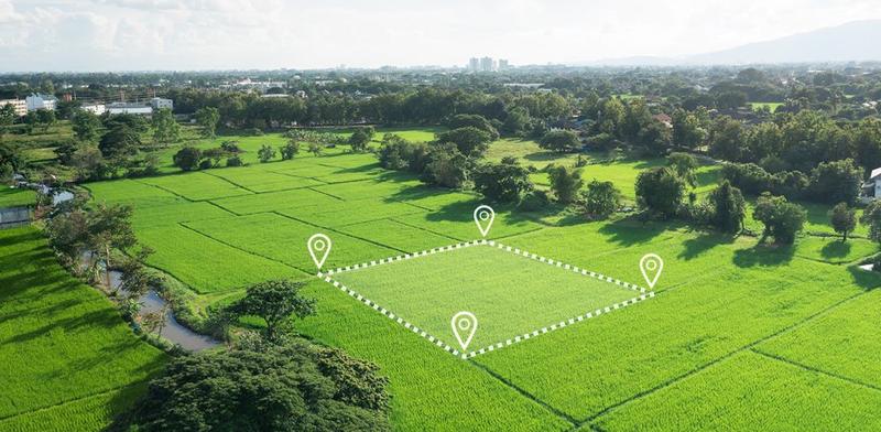 Metry kwadratowe a powierzchnia upraw