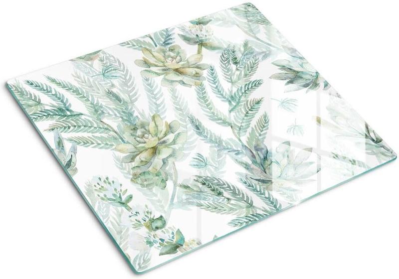 Pielęgnacja sukulentów po posadzeniu