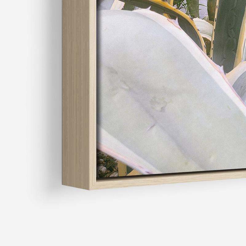 Techniki sadzenia sukulentów