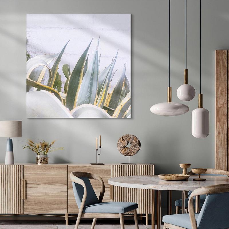 Uprawa sukulentów dla początkujących