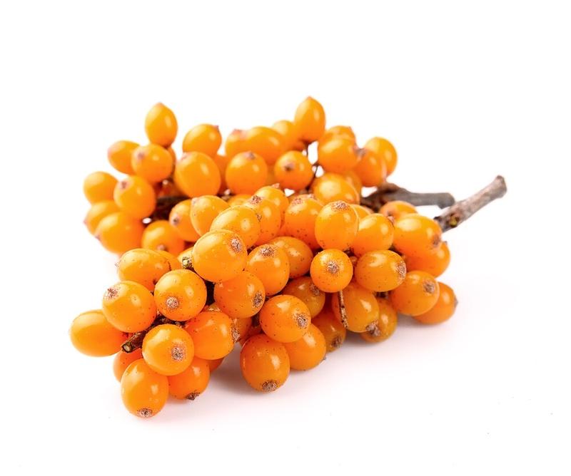 Wartości odżywcze rokitnika i ognika