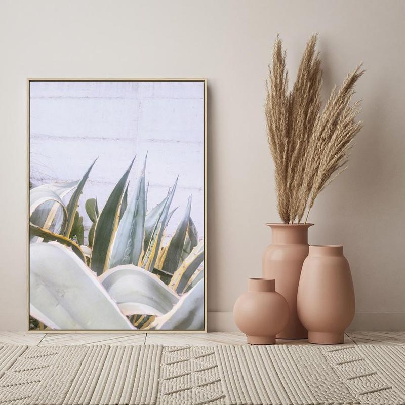 Sukulentowe ABC: Kiedy i Jak Sadzić Te Ozdobne Rośliny? Praktyczny Poradnik