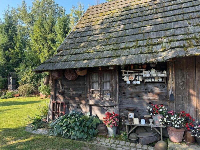 Rośliny sezonowe w aranżacji